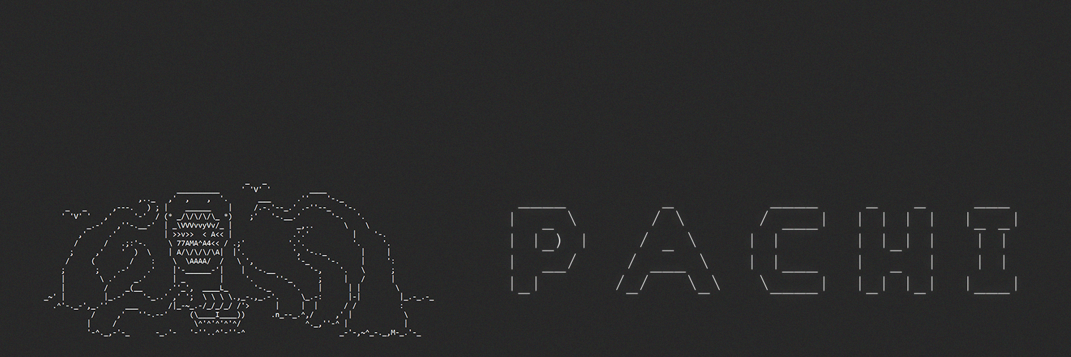 PACHI — ASCII monster banner